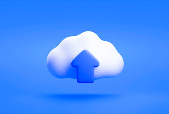 portfolio Image